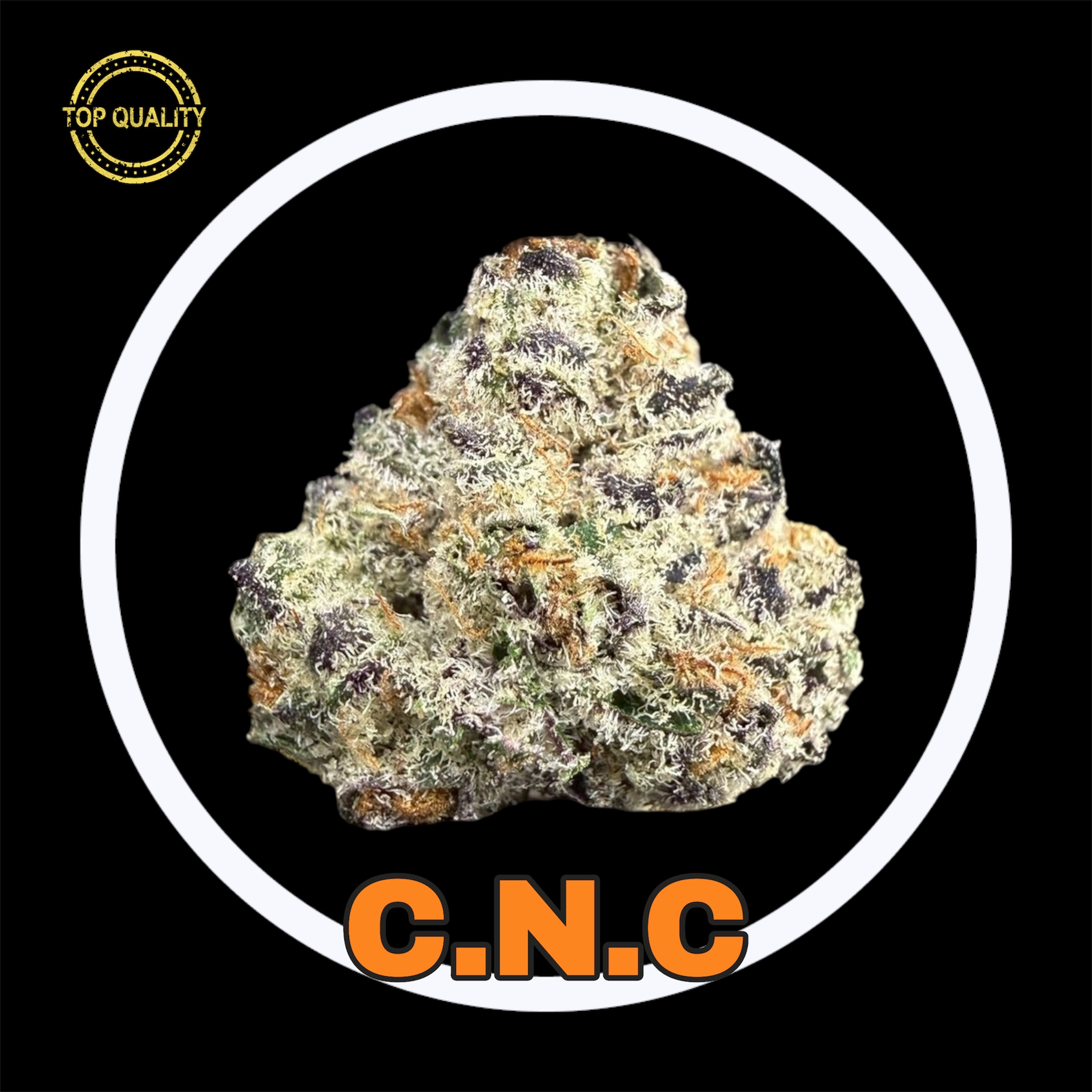 17-03-26 09-17-48pm.jpg